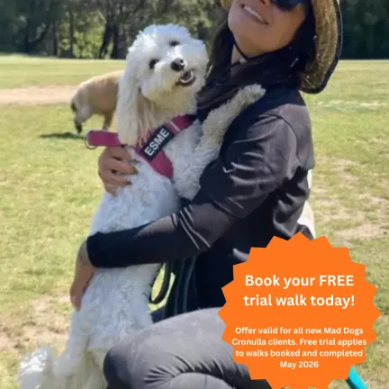 Book your dog a free walk today in the Sutherland Shire
