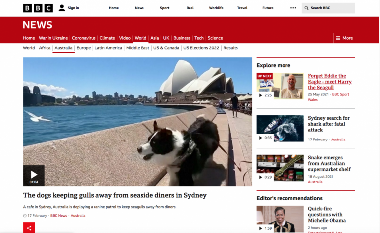 BBC news article