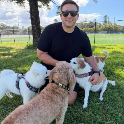 Happy dogs with dog walker