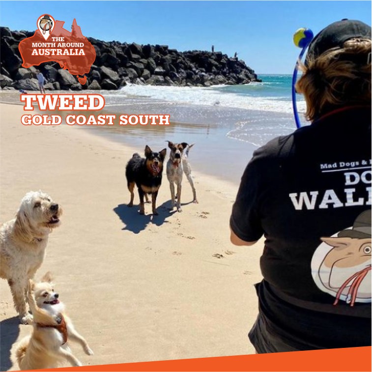 .Judith Tweed & Gold Coast South