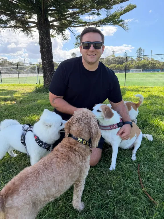 .Happy dogs with dog walker